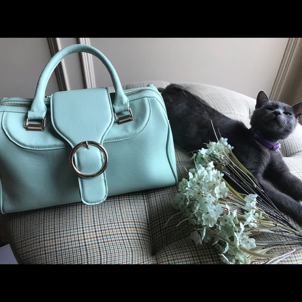 Large Tote bag mint color weekend bag